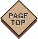 pagetop