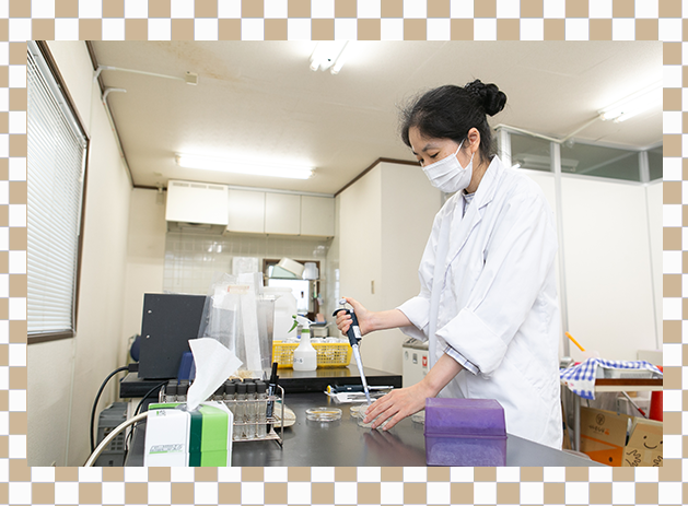 安心安全を考える